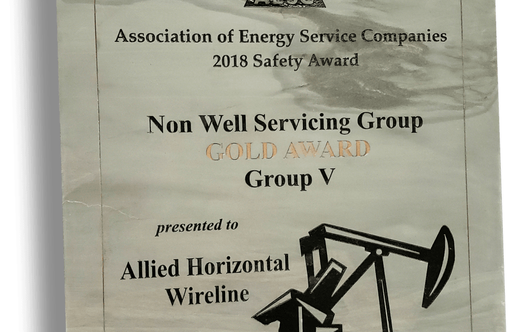 2018 Gold Safety Award